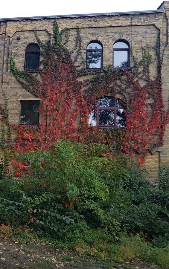 Wittenberg Fewo "Mohnblume" Am Stadtpark 아파트 외부 사진